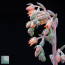 Echeveria gibbiflora, inflorescence detail.